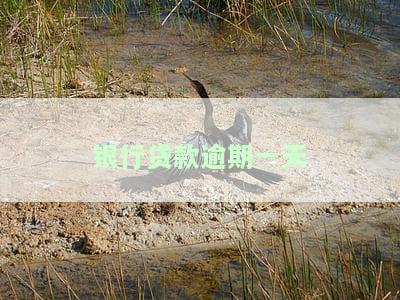 银行贷款逾期一天怎么补救及对信用影响