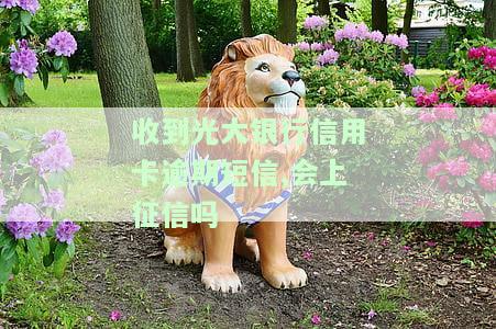 收到光大银行信用卡逾期短信,会上征信吗怎么办