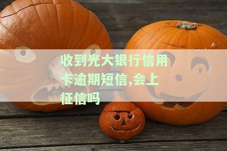 光大银行发来短信催还贷款信息
