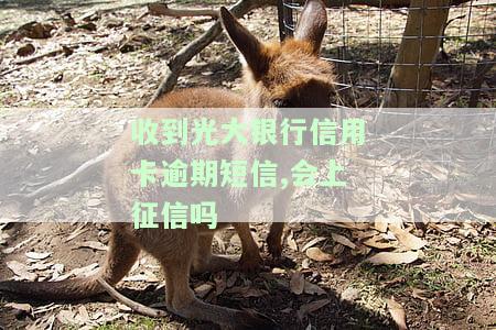 收到光大银行催还贷款短信的真实情况及处理方法