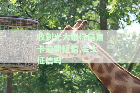 光大银行逾期15天通知家人还钱