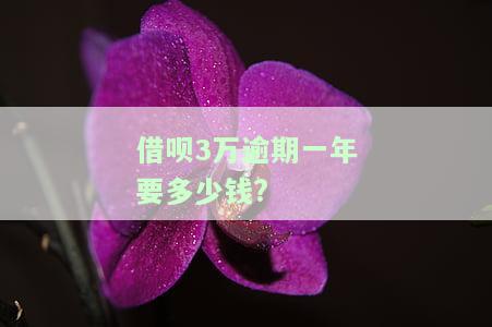 借呗3万逾期一年要多少钱呢及应对方法？