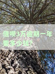 借呗3万逾期一年要多少钱还清及后果