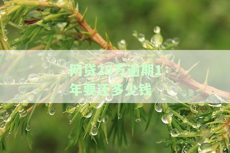 网贷逾期20万3年生活得怎样