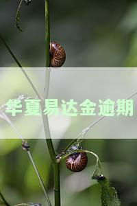 华易达金逾期90天要求全额还款政策及相关问题解答