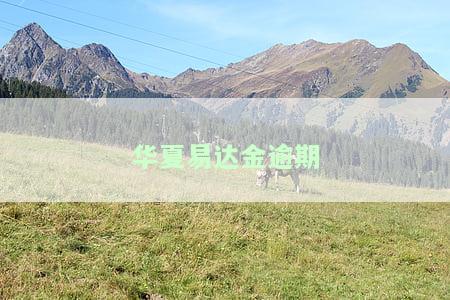 华易达金逾期一个月后会被冻结卡片，如何处理逾期90天全额还款及征信影响？
