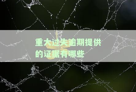 重大过失逾期提供的证据有哪些内容要求
