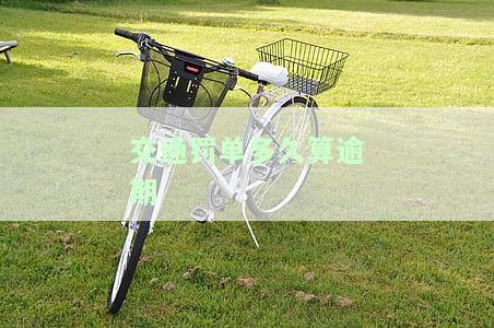 交通罚单多久算逾期