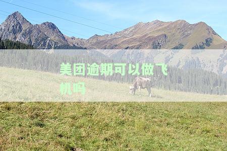 美团逾期还能用吗