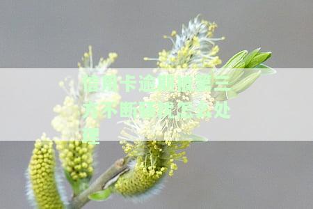 欠信用卡被骚扰，家人如何应对及投诉？
