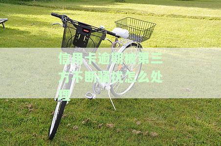 被信用卡第三方催收导致家庭矛盾可以要求赔偿吗