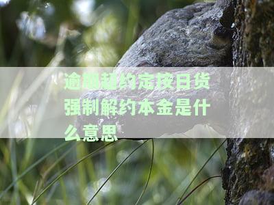 日逾期违约金计算公式和法律规定