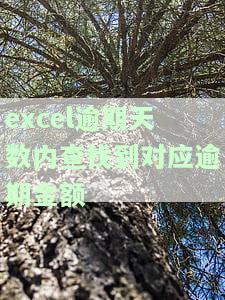 Excel计算逾期和未逾期天数的方法及区别