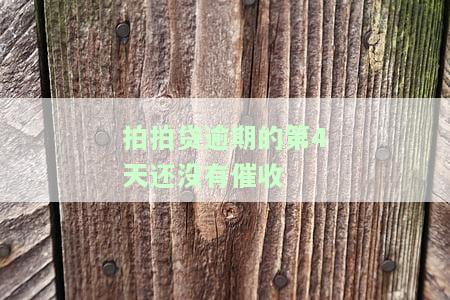 拍拍贷逾期的第4天还没有催收信息怎么办？