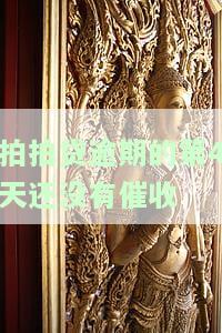 拍拍贷逾期3天还没还会不会打电话给紧急联系人？