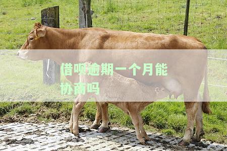 借呗逾期一个月能协商吗