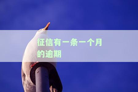 征信有一个月的逾期会影响贷款吗？怎么办？