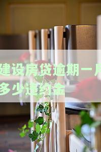 建行房贷逾期一个星期要付多少滞纳金费