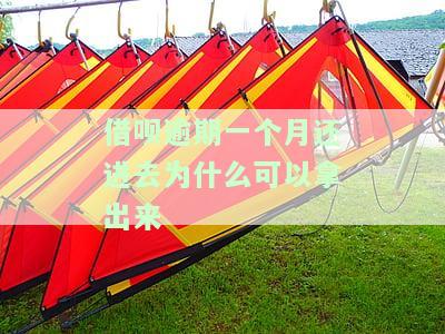 借呗逾期一个月还上还能借出来吗?