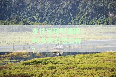 支付宝花呗逾期800多天会怎么样处理，花呗逾期八百多天才还要多久才可以用，花呗逾期多久会被起诉