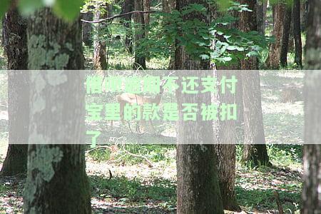 借呗逾期支付宝会扣余额的钱吗，如何处理？