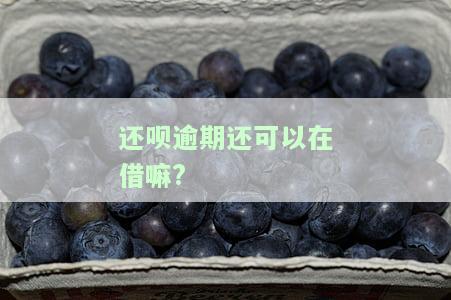 还呗逾期后还上，什么时候能再次借款？还呗逾期了几天，现在还了会影响征信吗？