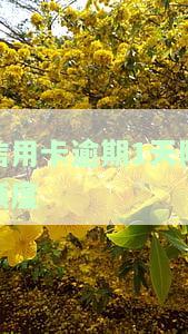 信用卡逾期1天降额度了，如何恢复？