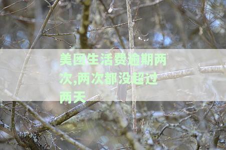 美团生活费逾期两次，两次都没超过两天算逾期吗，逾期一天会上征信吗，逾期两天还款有什么影响，逾期两次还能借出来吗？