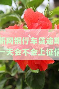 新网银行车贷逾期多久会冻结名下财产并起诉？