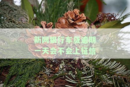 新网银行车贷逾期了，催收行为不好，怎么办？