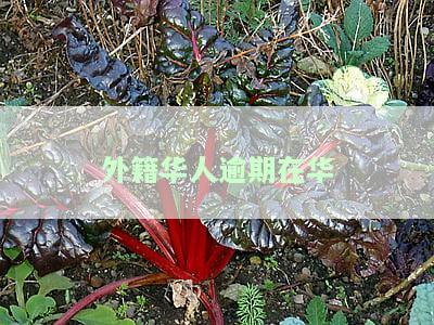 外国人在中国逾期停留怎么办理手续及后续措