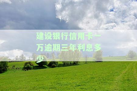 建行信用卡22000逾期一年利息及后果