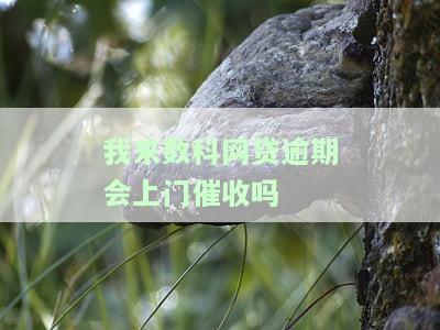 我来数科欠款逾期工作人员真的会上门讨债吗