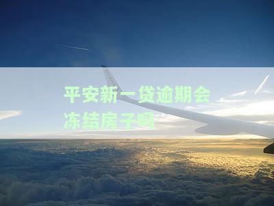 平安新一贷逾期会冻结房子吗，怎么解冻？
