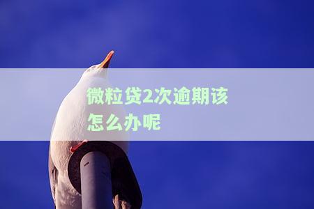 微粒贷逾期两次后还能继续贷吗？