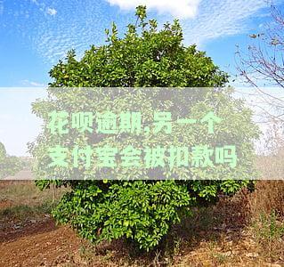 支付宝花呗逾期后果会影响别的贷款么