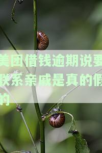 美团借钱逾期说要走访家里会怎么样？