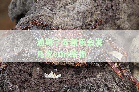 分期乐逾期两百多一个月会发催款函到户地，一年多会发律师函到户口所在地吗？