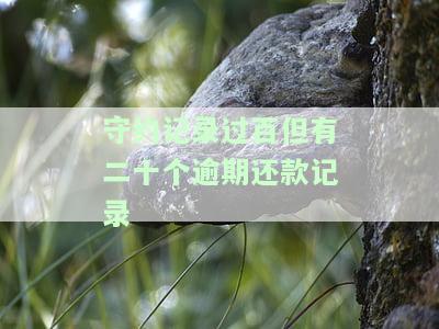 守约记录过百但有二十个逾期还款记录会怎么样？