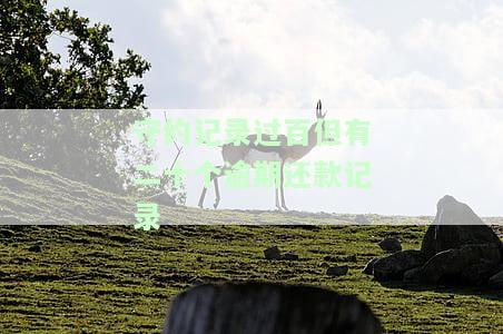 逾期后守约能修复吗