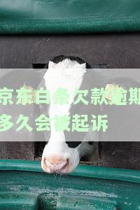 欠款逾期多久会被起诉成功及后果