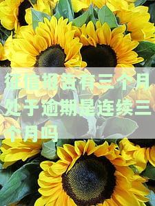 征信报告连续三个月逾期处理方法