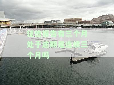 征信报告显示三个月处于逾期状态意思及应对措