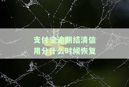 支付宝逾期结清了什么才恢复正常使用