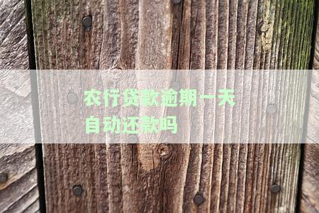农行贷款还款逾期一天后果及补救方法