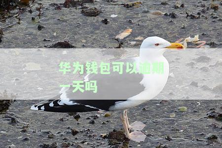 华为钱包金额超过扣款银行规定限额，如何解除？