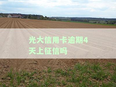 光大信用卡逾期4天上征信会影响吗及如何应对？