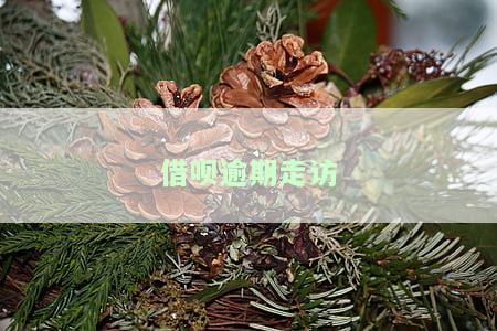 借呗逾期走访户地,没找到本人信息处理方法