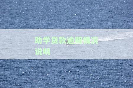 助学贷款逾期情况说明模板及文