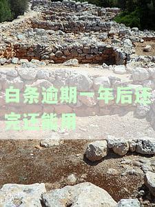 白条逾期一年后还完还能用不